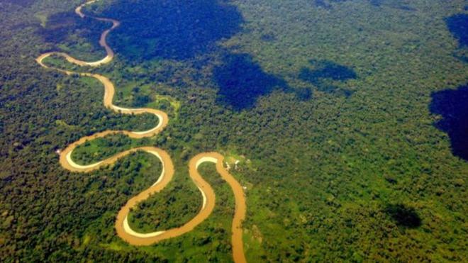 Vista aéreabonus boas vindas betfairparte da Amazônia