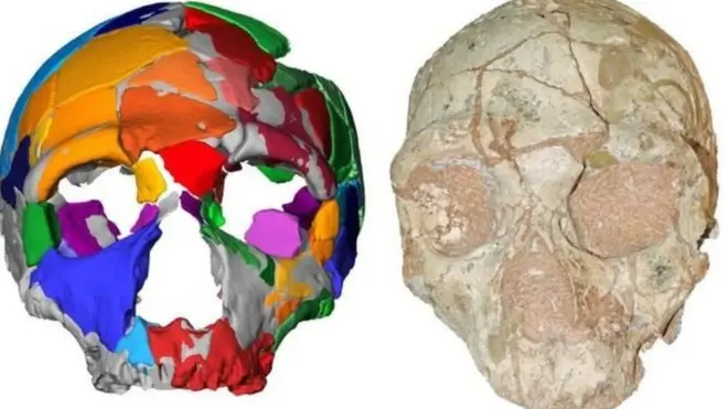 Fosil tengkorak Apidima 2 diyakini adalah Neanderthal dan usianya lebih muda ketimbang fosil manusia modern (Apidima 1).