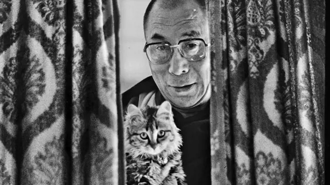 Dalai Lama with his pet cat