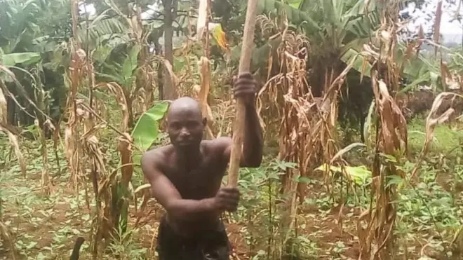 Qonnaan bulaan Burundii kuni ofiifuu baqataa ture