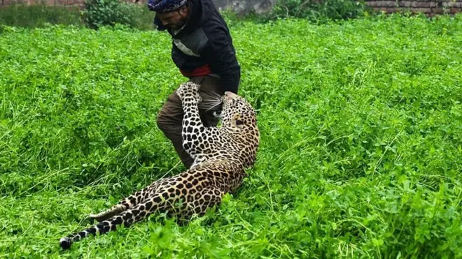 ヒョウと人間が互いにパニック　インド北部の村で