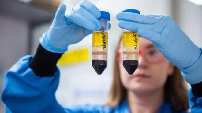 Urukingo rwa kaminuza ya Oxford