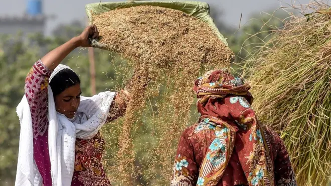 पंजाब के किसान