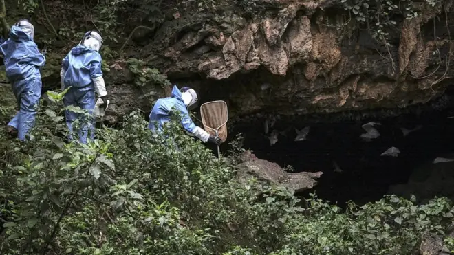 ویروس‌های بیماری‌زا