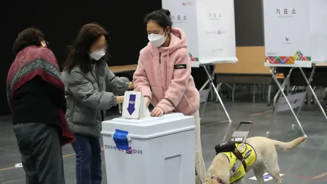 제20대 대통령 선거 투표일인 9일 한 시민이 시각장애인 안내견과 함께 투표하고 있다