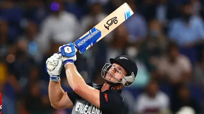 जेम्स नीशम