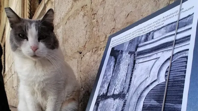 Анастазија