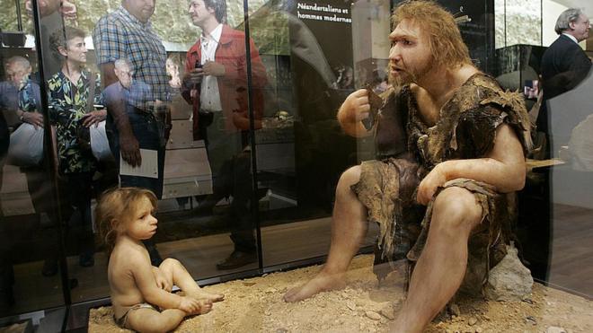 Recreación de un Neanderthal adulto y otro niño en un museo.