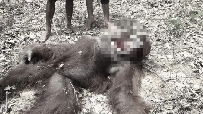 Para pembunuhnya berpose dengan bangga bersama korbannya.