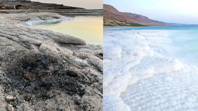 صور متداولة تظهر نفايات على شاطئ عام في البحر الميّت في الأردن