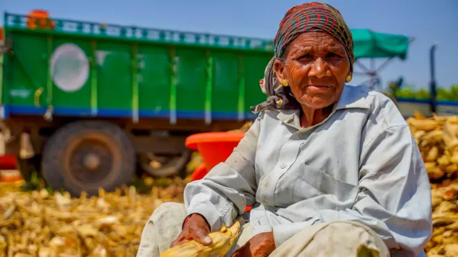 1 रुपयात पीक विमा योजना बंद करण्याचा विचार महाराष्ट्र सरकार का करतंय?