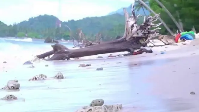 प्लास्टिक प्रदूषण