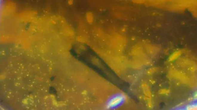 ไดโนเสาร์