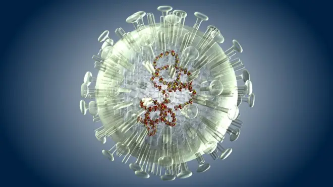 فيروس الانفلوانزا