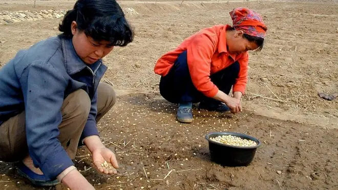 شمالی کوریا