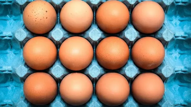eggs