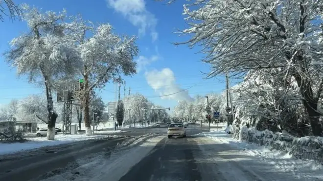 Қорга бурканган Тошкент кўчаси