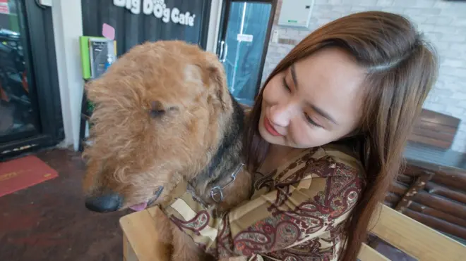 ชลธิชา ลาภผาติกุล เจ้าของ Big Dog Cafe กำลังกอดสุนัขพันธุ์แอร์เดล เทอร์เรีย ที่ได้ชื่อว่าสุนัขบำบัด