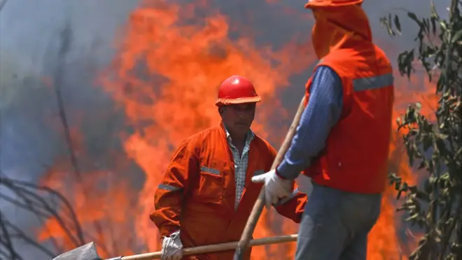 Chile enfrenta más de 100 incendios forestales en forma simultánea.