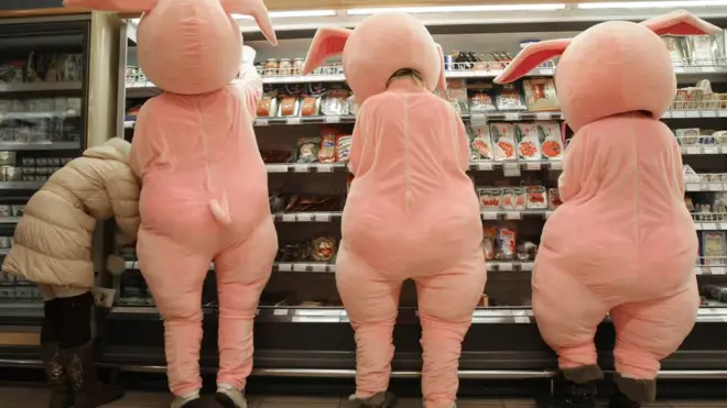 Активисты могли бы искать секционные продукты, не выходя из дома, проверяя сметы чиновников