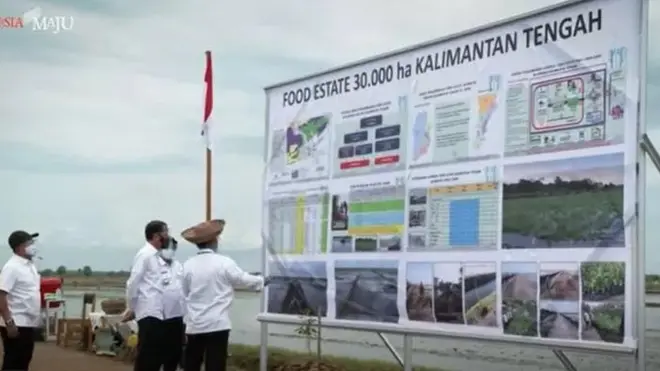 Presiden Joko widodo meninjau lokasi food estate di Kabupaten Pulang Pisau pada 8 Oktober 2020.