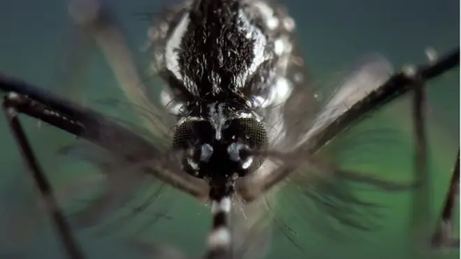 Dengue fever in Sri Lanka