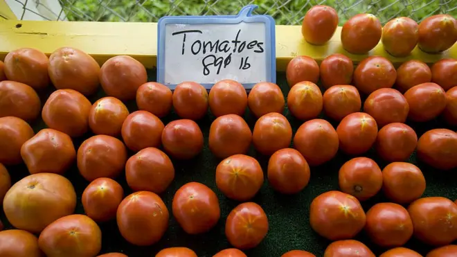Organizaciones de importadores de tomates en Estados Unidos advierten que el precio de la hortaliza puede subir hasta un 85%.