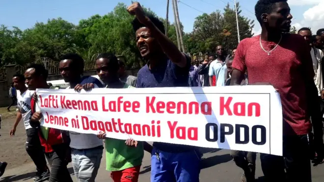 Mormii Magaalaa Shaashamannee