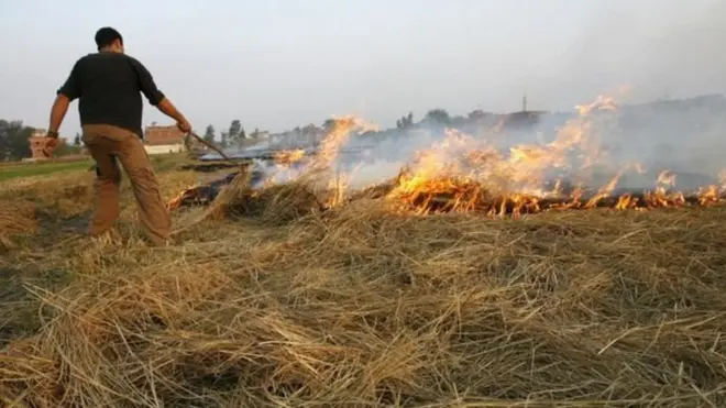 مصر کے کسان