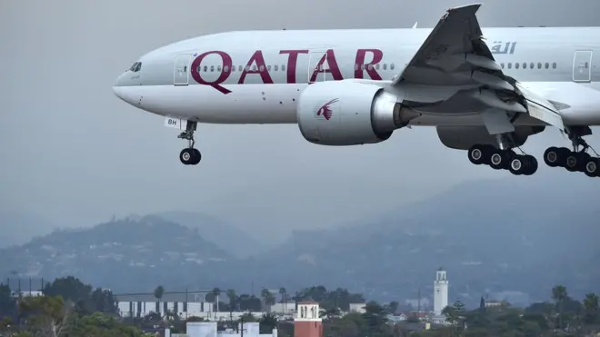 Sekitar 60 penerbangan Qatar Airways akan mengangkut 4.000 sapi yang dibeli dari Australia dan AS.