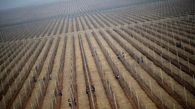 A produção agrícola norte-coreana foi afetada tanto por enchentes quanto pela seca