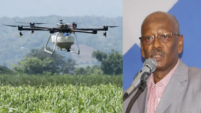 Diyaaradahan ayaa ah nooc loo isticmaalo beeraha