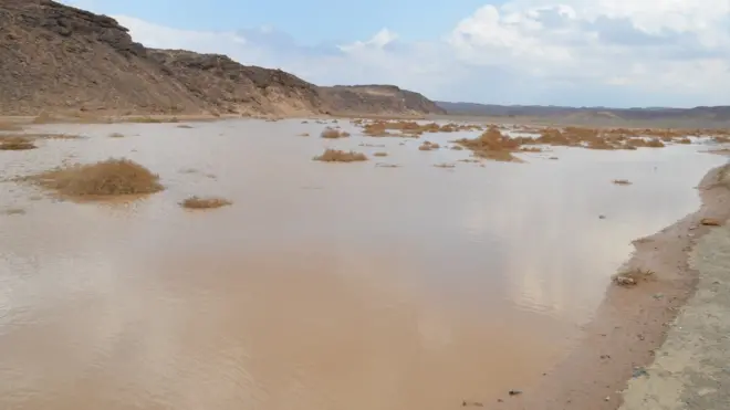 صورة تم التقاطها في محافظة سوهاج