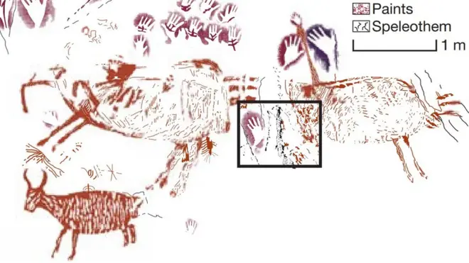 This tracing of the cave wall shows the 40,000-year-old painting on the far right. The black box shows the area which was used for dating the cave art