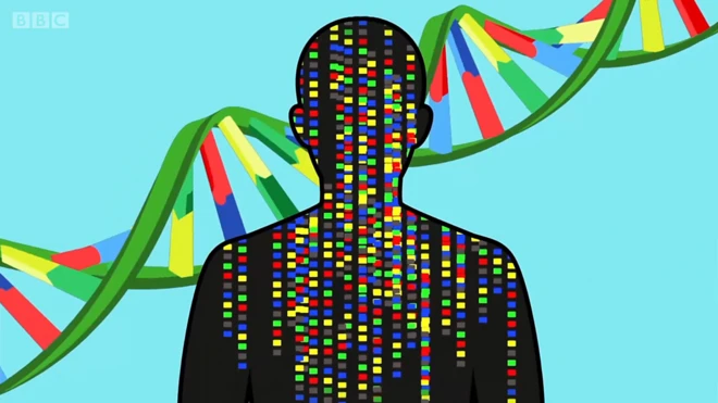 Silueta humana con ilustración de ADN