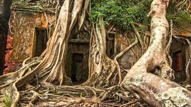 રૉસ આઇલેન્ડ