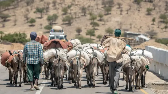 ኣእዱግ ኢትዮጵያ