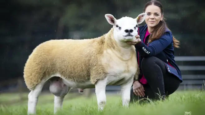 Double Diamant vendu aux enchères pour près d'un demi-million de dollars