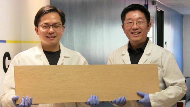 Profesores Liangbing Hu y Teng Li mostrando una tabla de la supermadera (Foto: gentileza Universidad de Maryland)