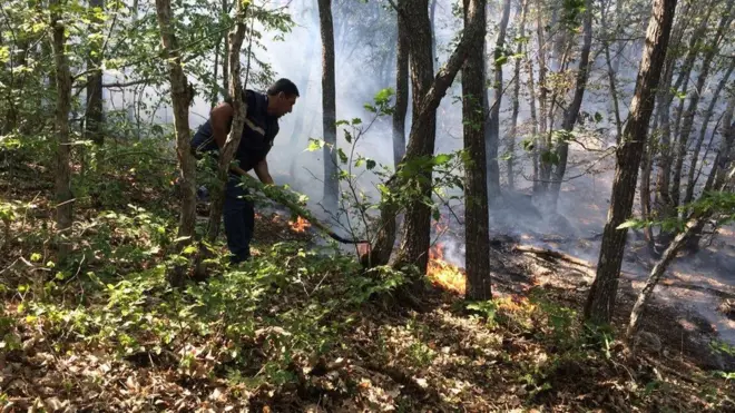 Ekologiya və Təbii Sərvətlər Nazirliyi