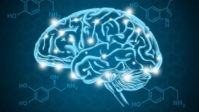 picture of serotonin in the brain