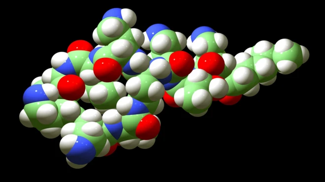 粘杆菌素（Colistin）结构图
