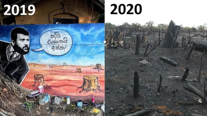 2019 ජනාධිපතිවරණයෙන් පසු නාරාහේන්පිට තාප්පයක ඇඳි සිතුවමක් සහ වනාතවිල්ලුව වන විනාශය