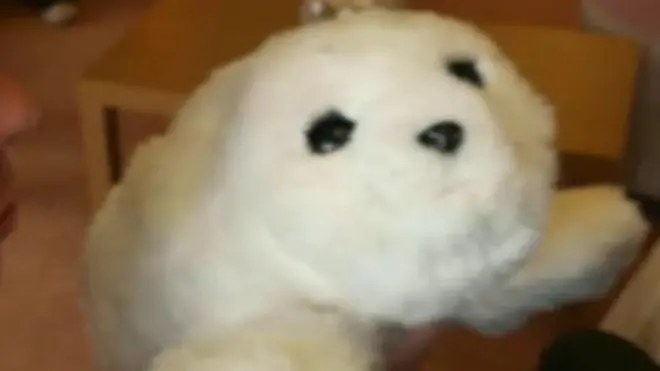 پارو ایک روبوٹک سیل ہے جو ہاتھ لگانے پر آواز بھی نکالتا ہے۔ یہ معمر افراد میں بہت مقبول ہے۔ تو ملیے روبوٹک پارو سے۔