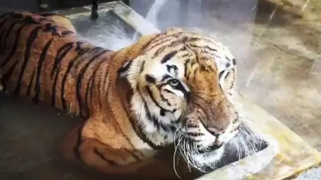 કાંકરિયા ઝૂ