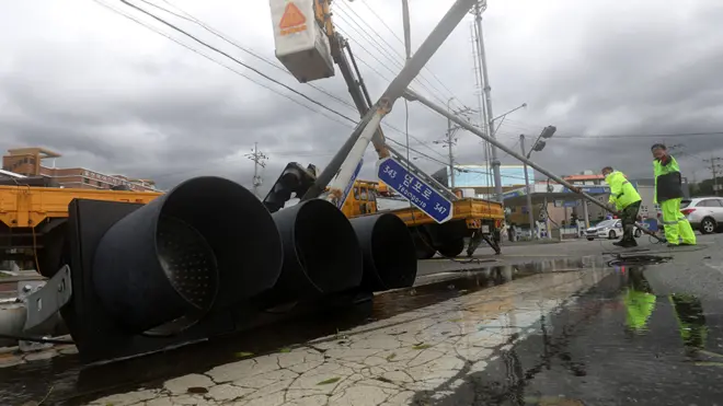 울산시에서 신호등이 강풍에 넘어져 쓰러졌다