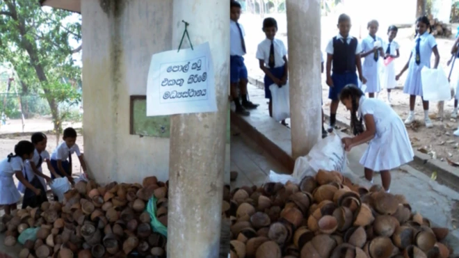 පොල් කටු