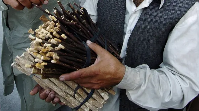 Rigaa gurguramaa jiru