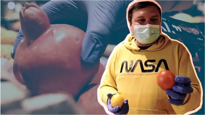 Таємна історія фруктів і овочів із супермаркету