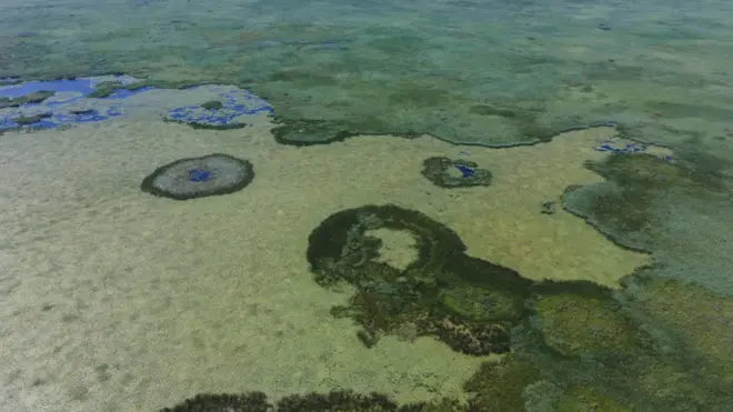 "Невичерпність" водних ресурсів в Україні - ілюзія, прощання з якою може бути болісним. А болота - один з ключових елементів у цій системі